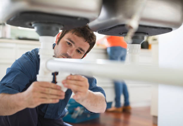 Best Commercial Plumbing Services  in Carson City, MI