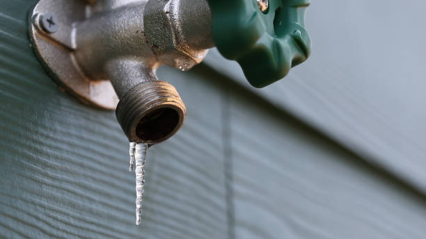 Best Pipe Repair Near Me  in Carson City, MI