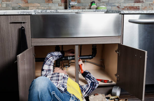 Best Local Plumber Services  in Carson City, MI