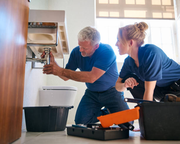 Best Plumbing Inspection Services  in Carson City, MI